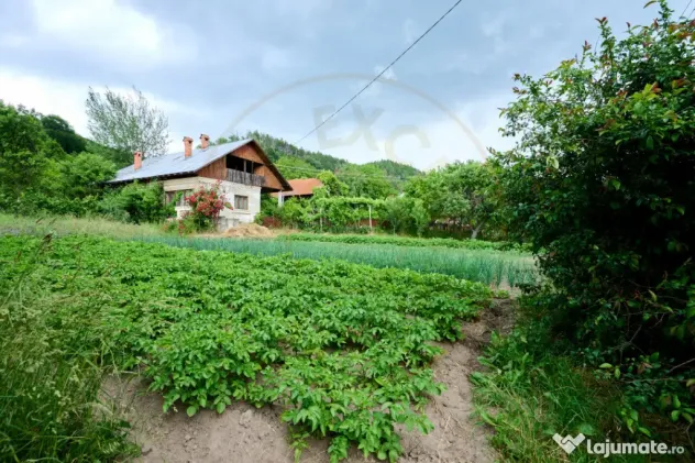 Casa cu teren generos - 4696 mp Apa Sarata - Campulung !!