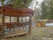 Vilă istorică, proiectată de arhitectul Emil Nădejde ... 