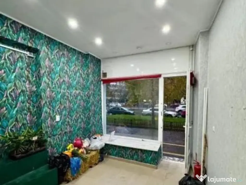 Spațiu stradal Mihai Bravu 18 mp