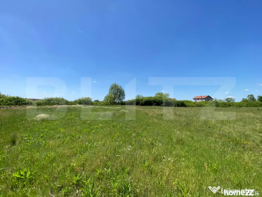 Teren intravilan Mosnita Noua 740mp Front 19m investitie zo
