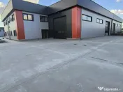 Complex hale ( 8 bucati ) noi 2025 Domnesti - Centura Buc... 