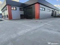 Complex hale ( 8 bucati ) noi 2025 Domnesti - Centura Buc...