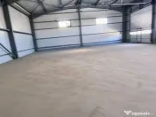 Complex hale ( 8 bucati ) noi 2025 Domnesti - Centura Buc... 