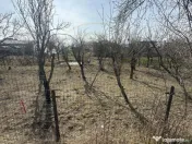 Teren 800 mp intravilan str. Olteni, Mosoaia, Arges 