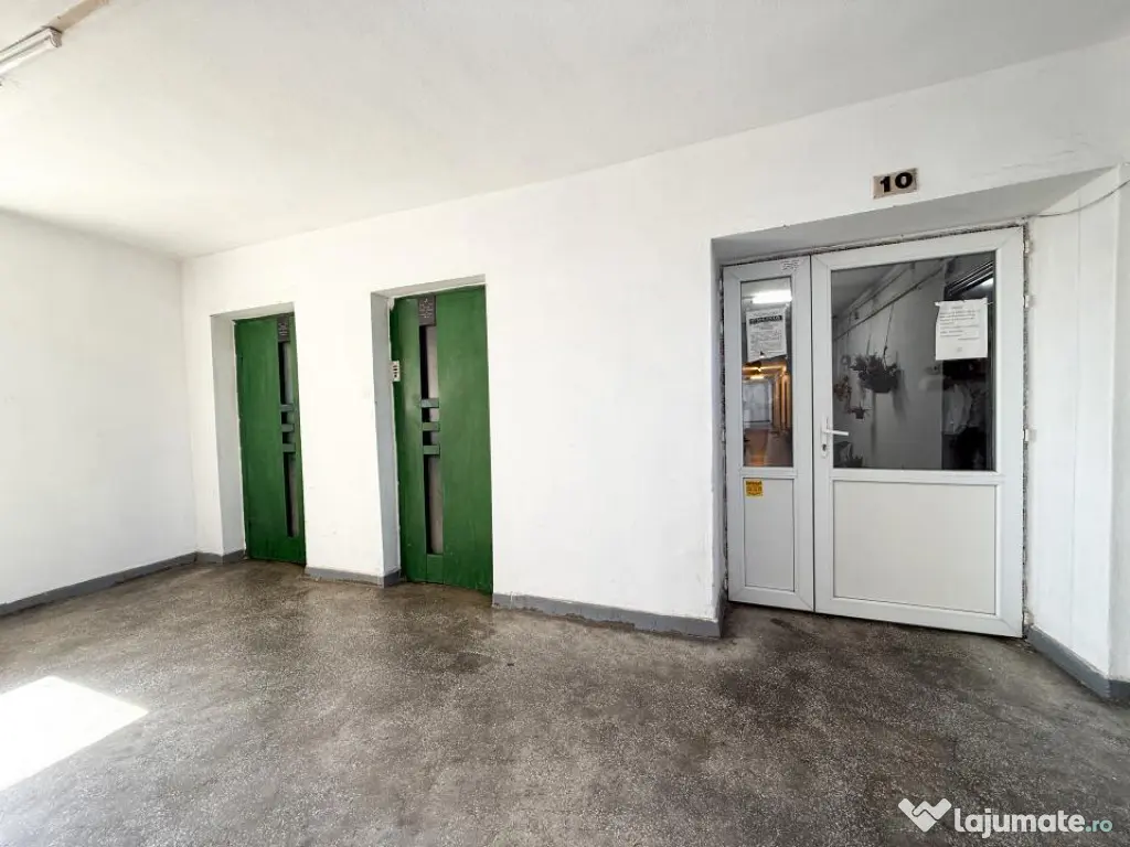 Garsonieră de vânzare în Titan, Constantin Brâncuși |