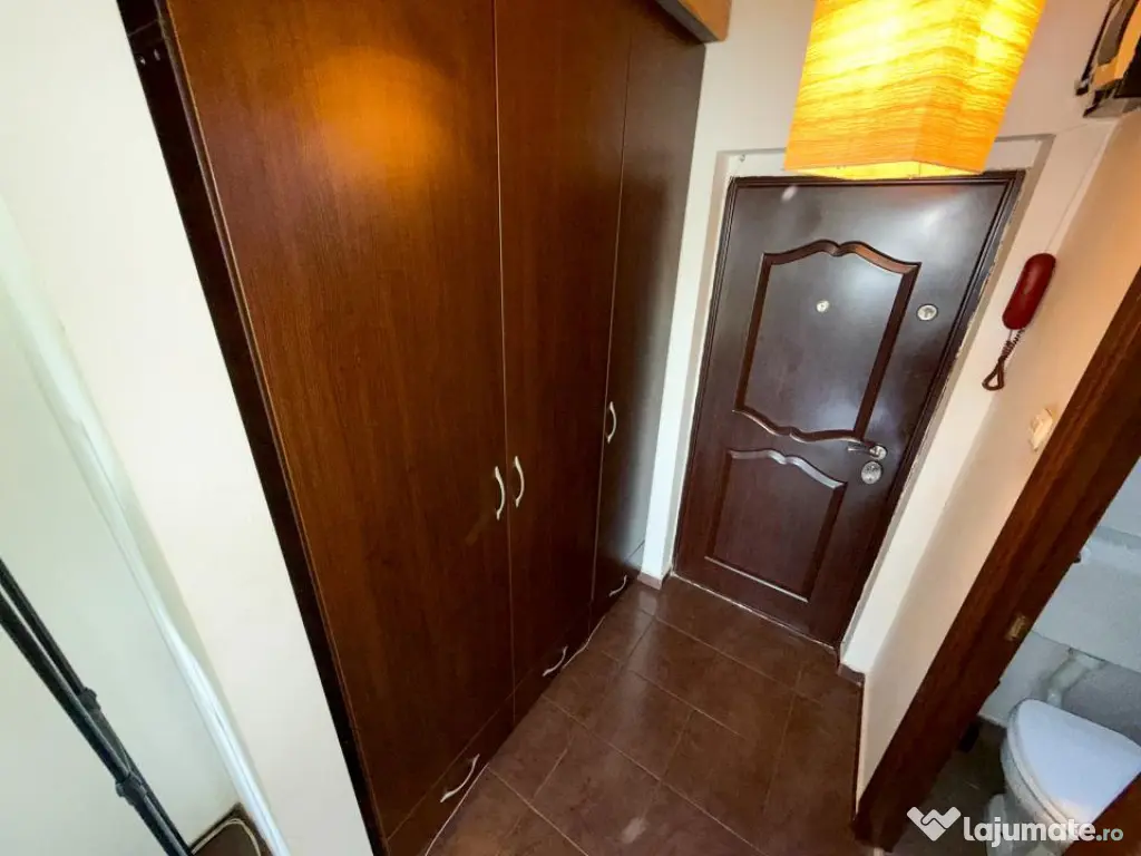 Garsonieră de vânzare în Titan, Constantin Brâncuși |