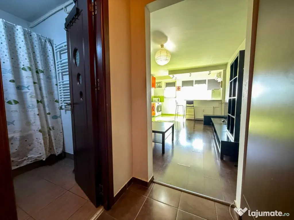 Garsonieră de vânzare în Titan, Constantin Brâncuși |