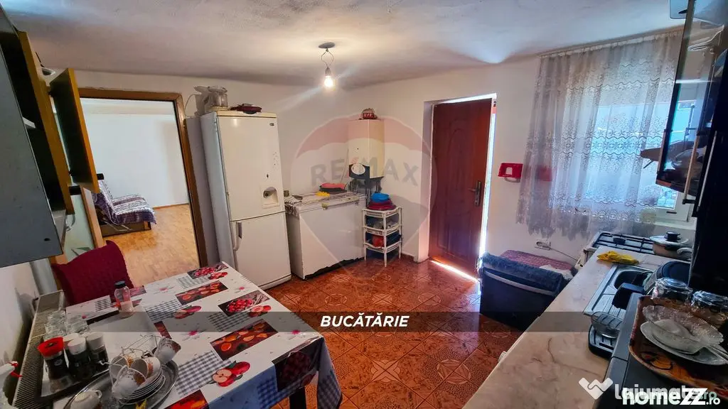 Casa de vanzare in Borlesti, Pomi | 37 ari teren | Comisi... - Borlesti (Satu-Mare)