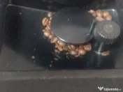 Expresor espressor cafea boabe Tchibo 