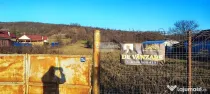 Teren intravilan 3129 mp | Deschidere 28 ml / Lespezi –...
