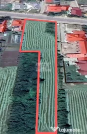 Teren intravilan 3129 mp | Deschidere 28 ml / Lespezi –... 