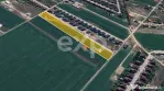 Teren 10.000mp parcelat Balotesti
