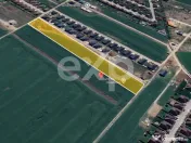 Teren 10.000mp parcelat Balotesti 