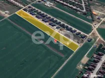 Teren 10.000mp parcelat Balotesti