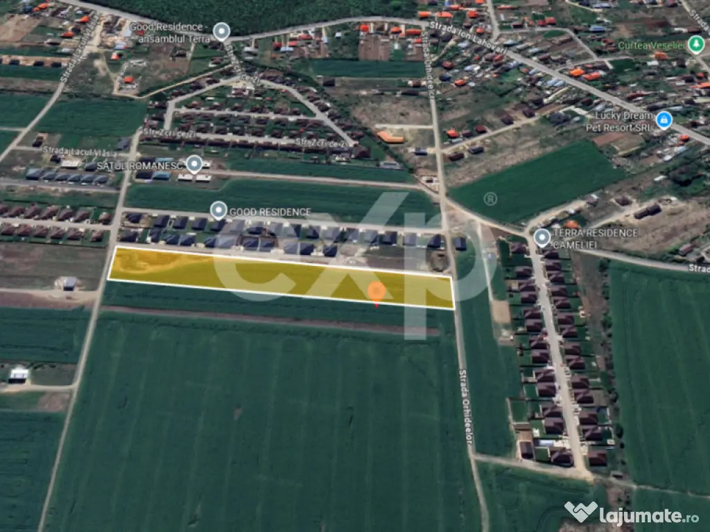 Teren 10.000mp parcelat Balotesti