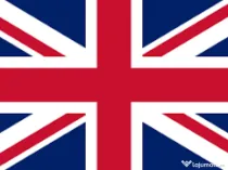 Engleza orice nivel, adulți/copii