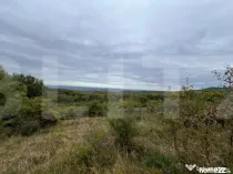 Teren de vanzare Salicea