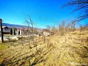 Casă cu teren generos în Dârmănești, Argeș-ideală pen 