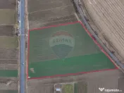 Teren 5,300mp Prejmer / DN11 Brașov-Covasna 