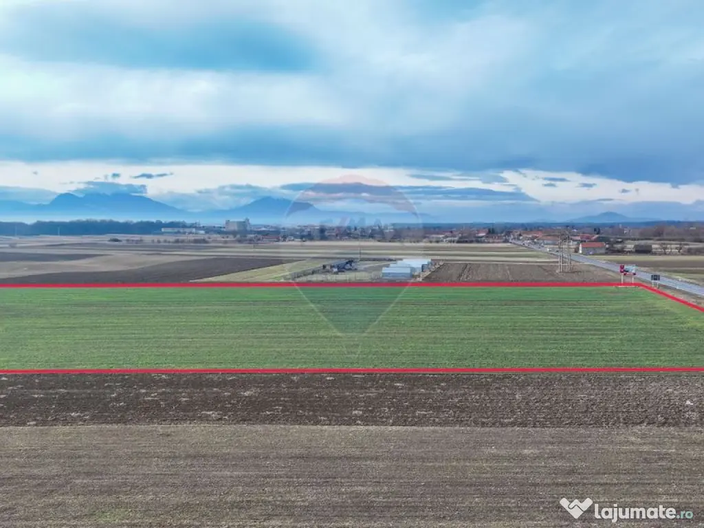 Teren 5,300mp Prejmer / DN11 Brașov-Covasna