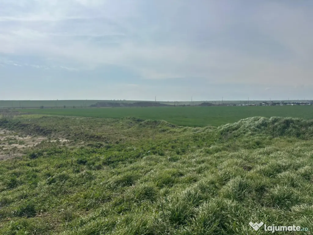 Teren intravilan 10.000 mp, DN-reprezentanta VOLVO -dezmembr