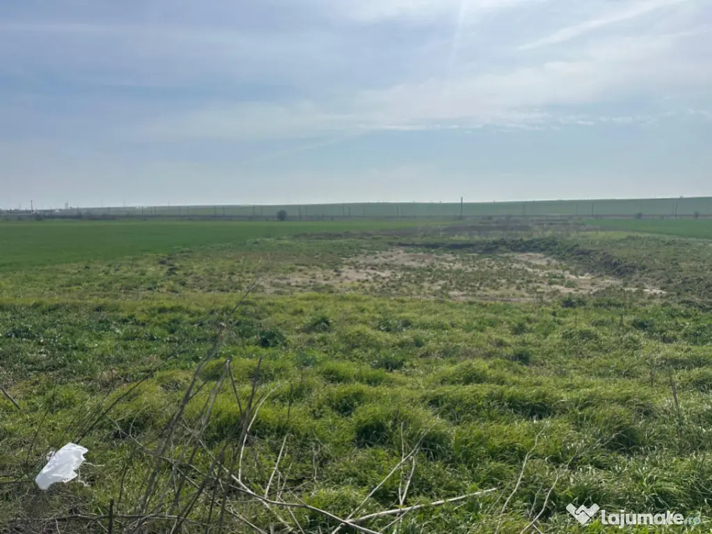 Teren intravilan 10.000 mp, DN-reprezentanta VOLVO -dezmembr