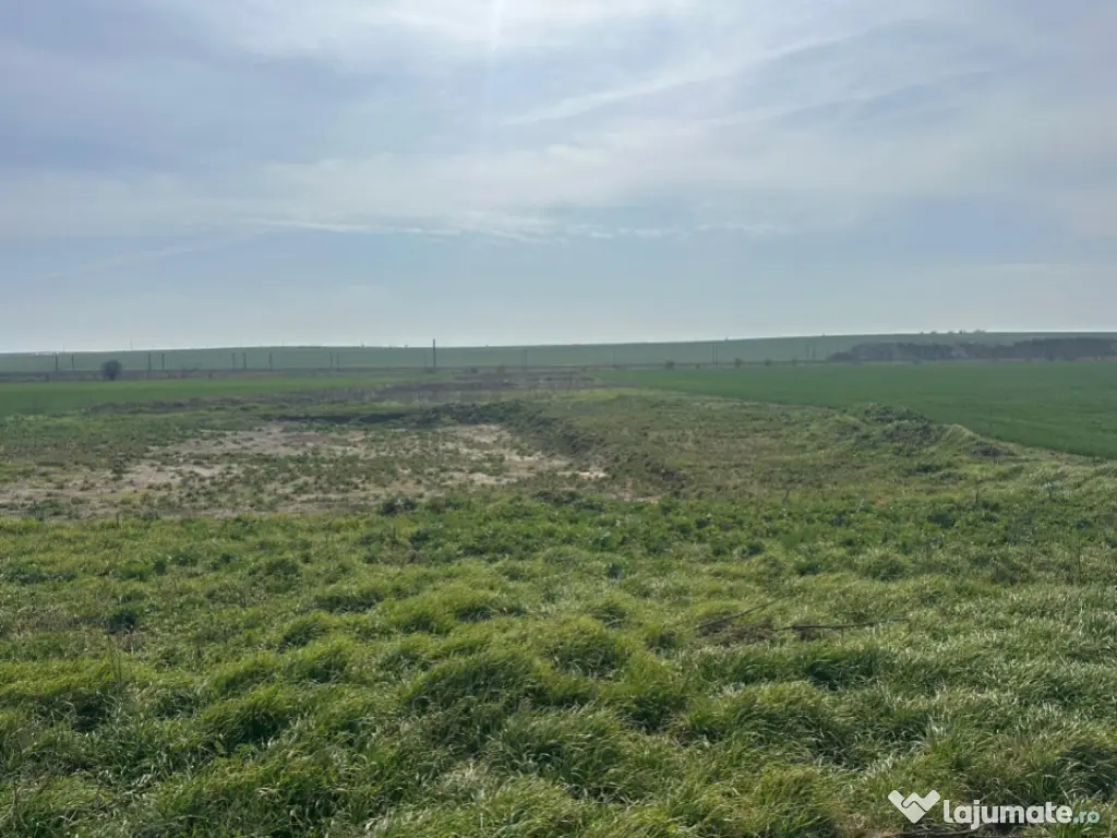 Teren intravilan 10.000 mp, DN-reprezentanta VOLVO -dezmembr