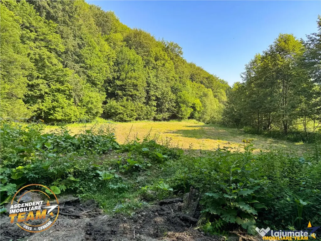 FILM! Teren extravilan pe 2.737mp,zona pretioasa,acces facil