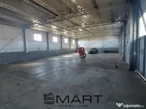 Hala industriala Calea Surii Mici