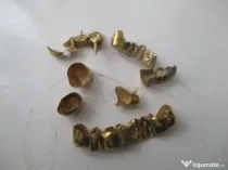 Aur dentar 21 k 29.75 gr