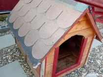 Cusca pentru caine talie mare