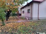 ILFOV - SE VINDE CASA IN ISLAZ / COM. BRANESTI