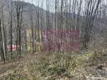 Tere intravilan de vanzare in Sinaia