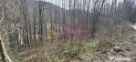 Tere intravilan de vanzare in Sinaia