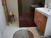 Apartament de 2 camere Corneliu Coposu, prima inchiriere 