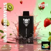 Vape Vanther Nou Sigilat 30.000 Pufuri 