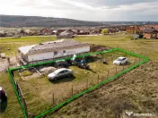 RECO teren la asfalt de in zona Betfia 