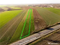 RECO teren 5000mp cu deschidere la DN19 Tamaseu