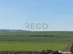 RECO Teren pentru investitie 4ha Tauteu-Zona Autostrazii T