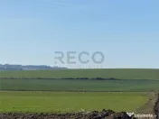 RECO Teren pentru investitie 4ha Tauteu-Zona Autostrazii T 