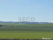 RECO Teren pentru investitie 4ha Tauteu-Zona Autostrazii T 
