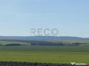 RECO Teren pentru investitie 4ha Tauteu-Zona Autostrazii T 