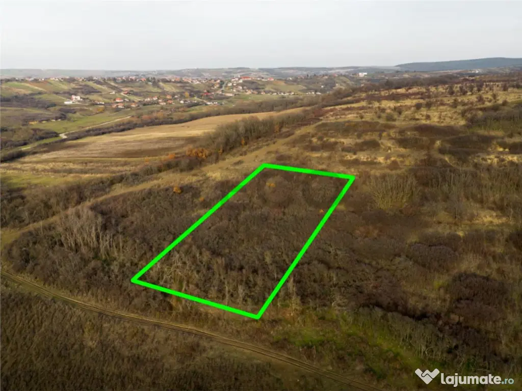 RECO . Teren extravilan . Uileacul de munte