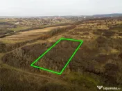 RECO . Teren extravilan . Uileacul de munte 