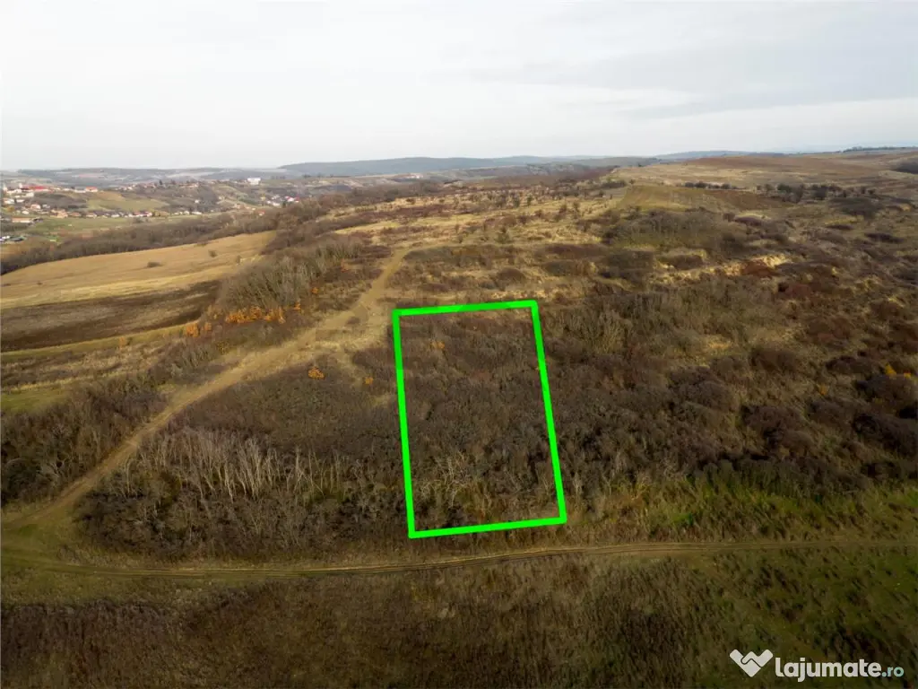 RECO . Teren extravilan . Uileacul de munte