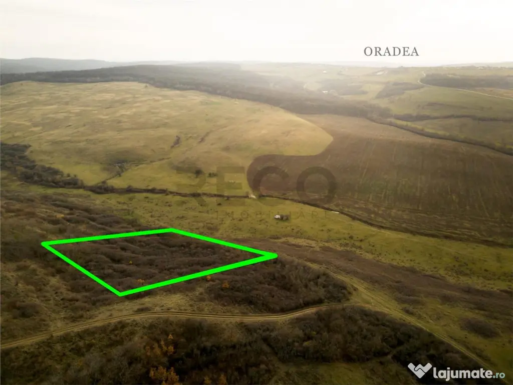 RECO . Teren extravilan . Uileacul de munte