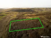 RECO . Teren extravilan . Uileacul de munte 