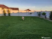 RECO Casa 3 camere #238;n Santandrei 