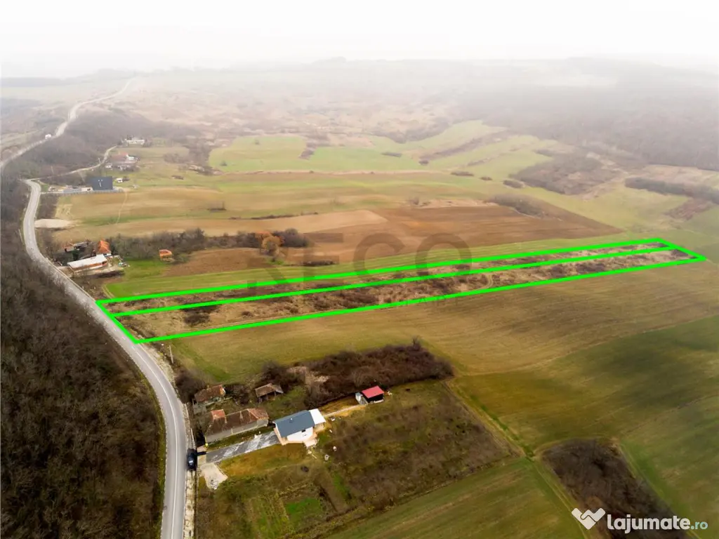 RECO Teren in Burzuc 13 041mp