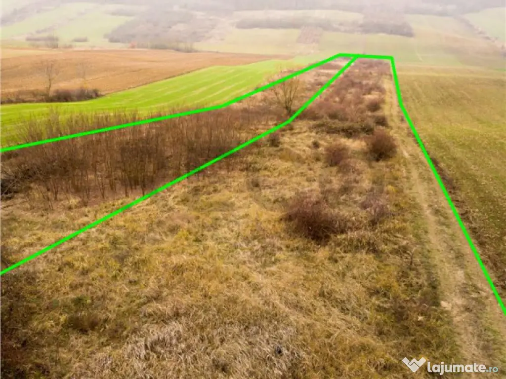 RECO Teren in Burzuc 13 041mp